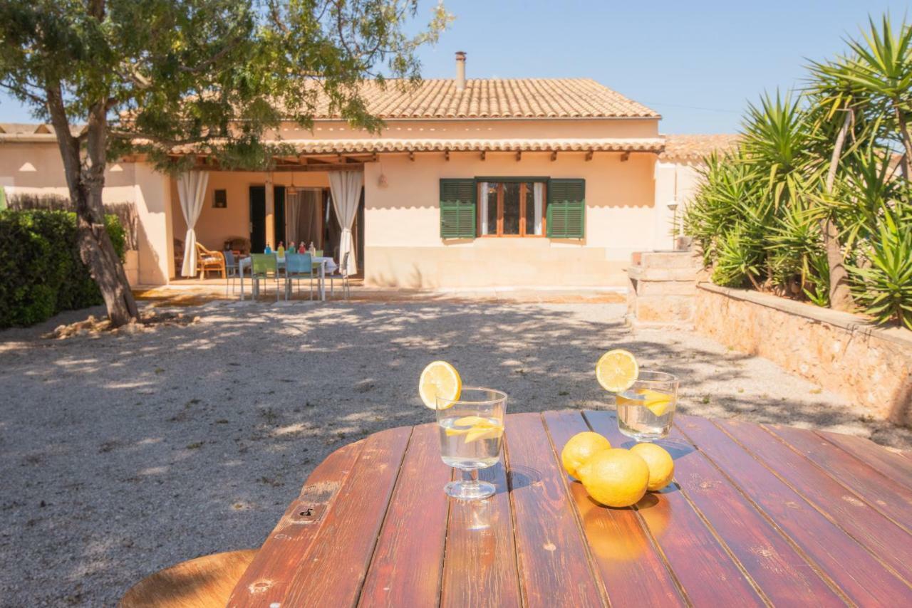 קמפוס Finca Can Mateu מראה חיצוני תמונה